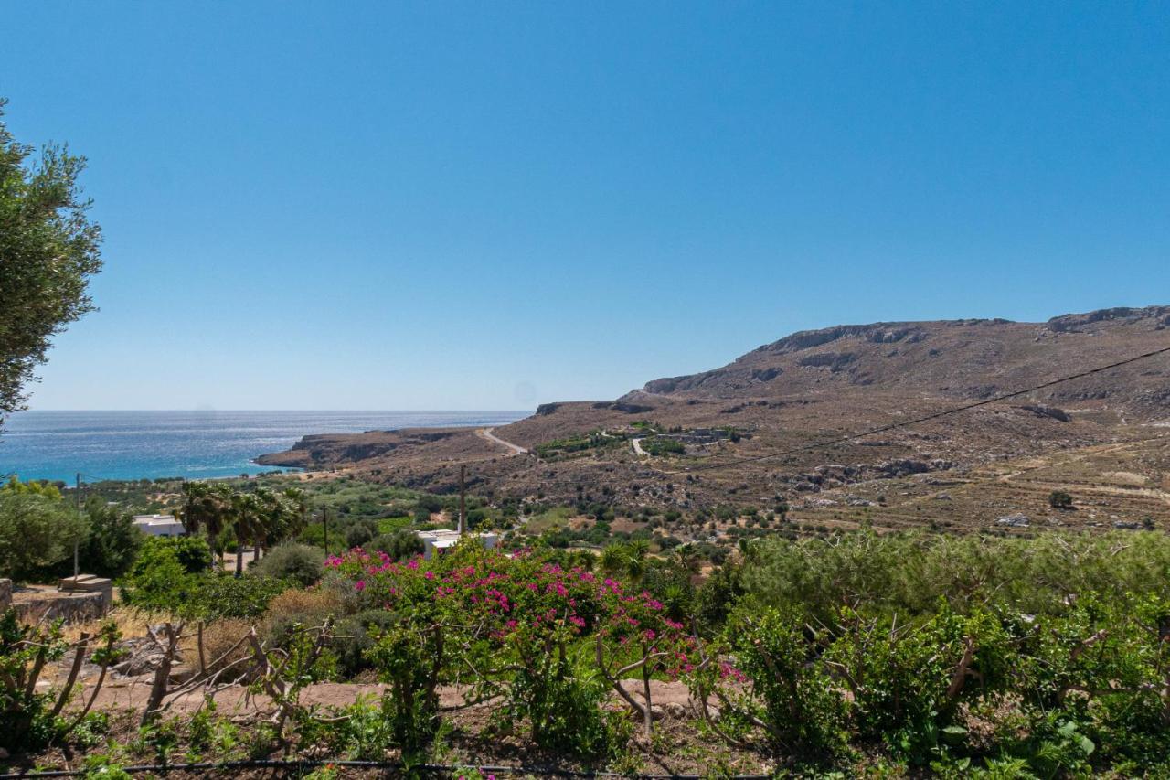 Anthia Apartment Sea View Zakros Exterior photo
